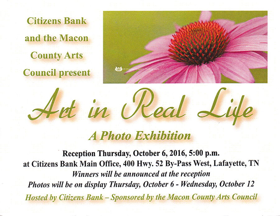 Macon County Art Council, Art Exhibit, Cheree Federico Photography, Fine Art Photography