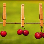 Berry Cherry Cherries Fine Art Photography Bowling Green KY Cheree Federico Photography