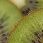 Green with Envy Fruit Macro Fine Art Photography Bowling Green KY Cheree Federico Photography