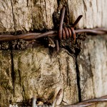 Intrusion Barbed Wire Macro Fine Art Photography Bowling Green KY Cheree Federico Photography