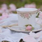 It's My Cup of Tea Vintage Teacup Fine Art Photography Bowling Green KY Cheree Federico Photography